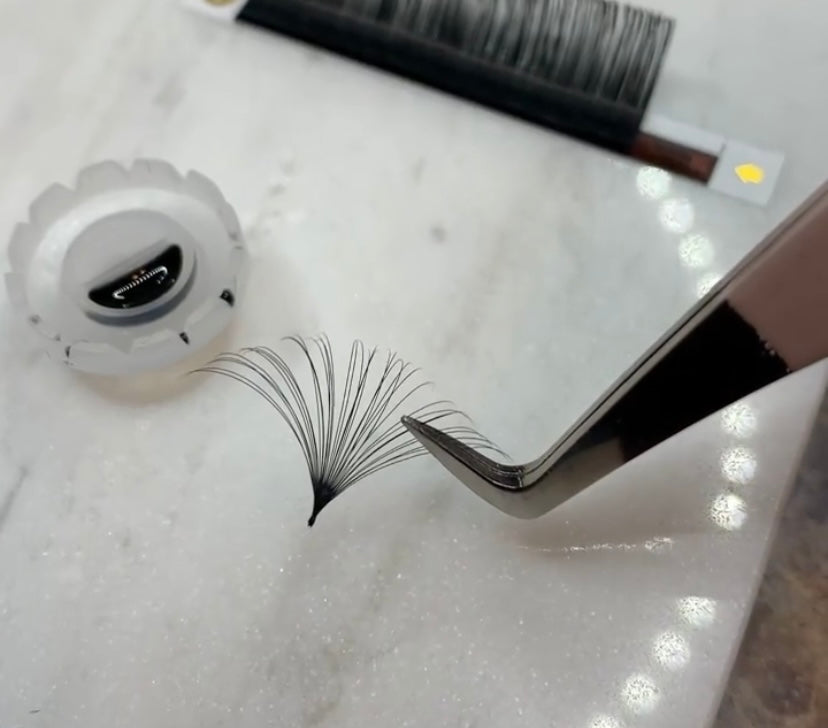 Eyelash Tray Sample
